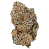 wham strain