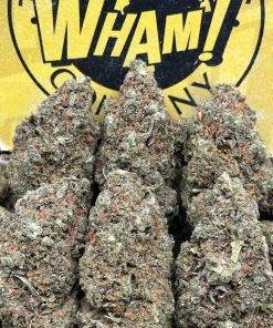 Wham strain